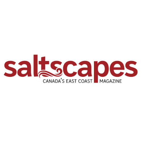 Saltscapes Saltscapes